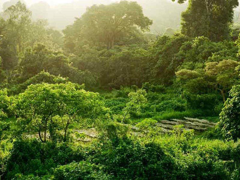 visitethiop's tweet photo. Ethiopia's northern highlands offer some exceptional trekking experiences. The Simien Mountains & Bale Mountains are common favorites & the Community Trekking trails set up in the North offer world-class treks while supporting local communities.
#VisitEthiopia #Communitytrekking https://t.co/TFn5UGYoPo