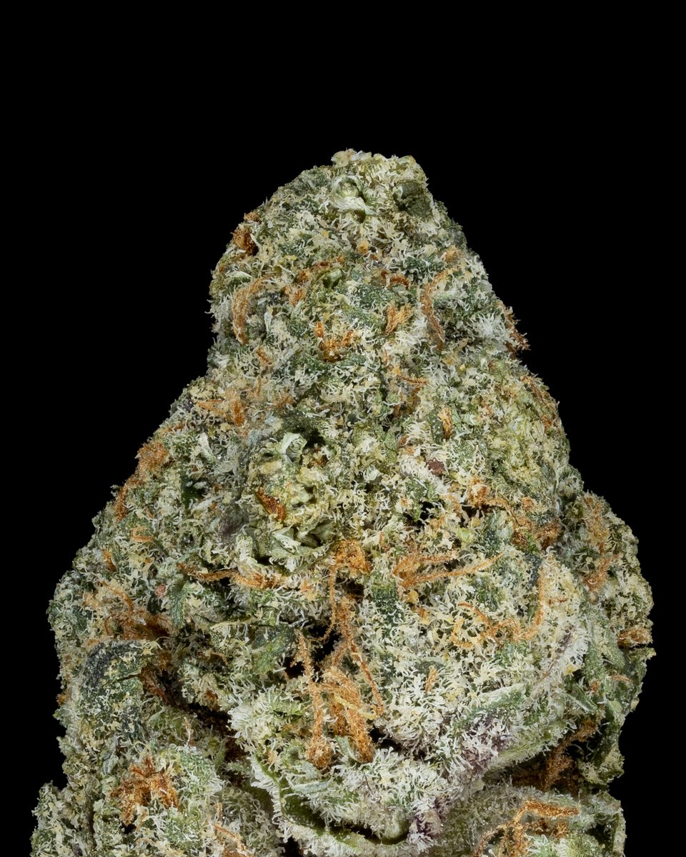 Yahemi Strain

#macrophotography #closeups #cannabismacro #stillanimation #cannabisphotography #cannabiscommunity #budshots420 #weedphotography #trichomes #macro #recreationalcannabis #cannabisporn #not4sale #cbdflower #macrophotography #productphotography