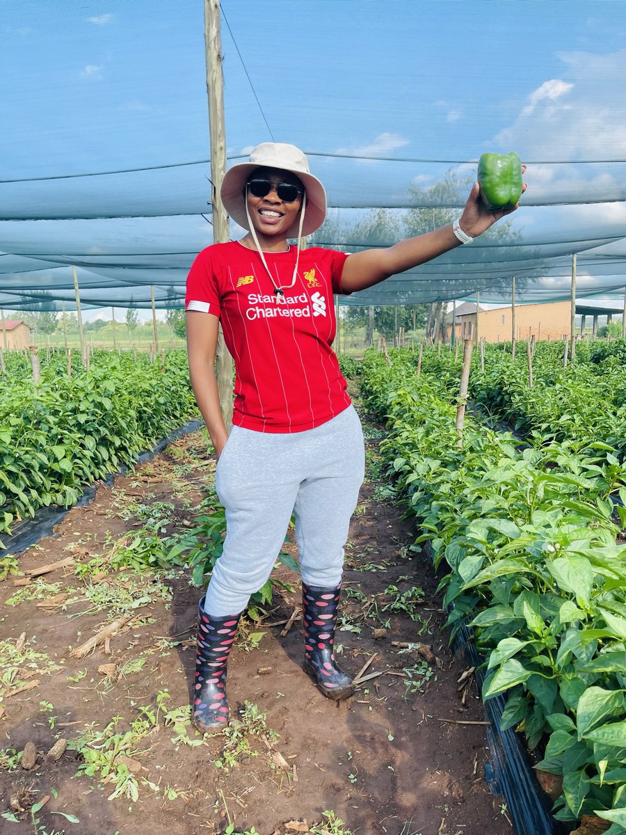 MpondaSabinus's tweet photo. If you are interested in farming please like and retweet. https://t.co/gYWn0kSQAj