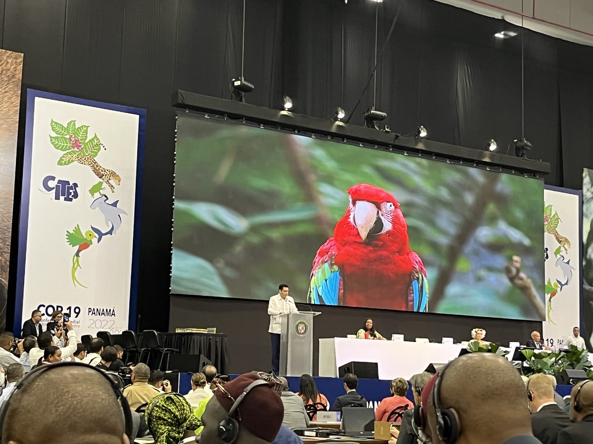 Proud to have been elected to act as chair of Committee I at CITES CoP19 in Panama today cites.org/eng/news/cites…. Work gets underway tomorrow. Pleased also to have JNCC colleagues supporting the UK delegation - here with CITES Secretary General Ivonne Higuero