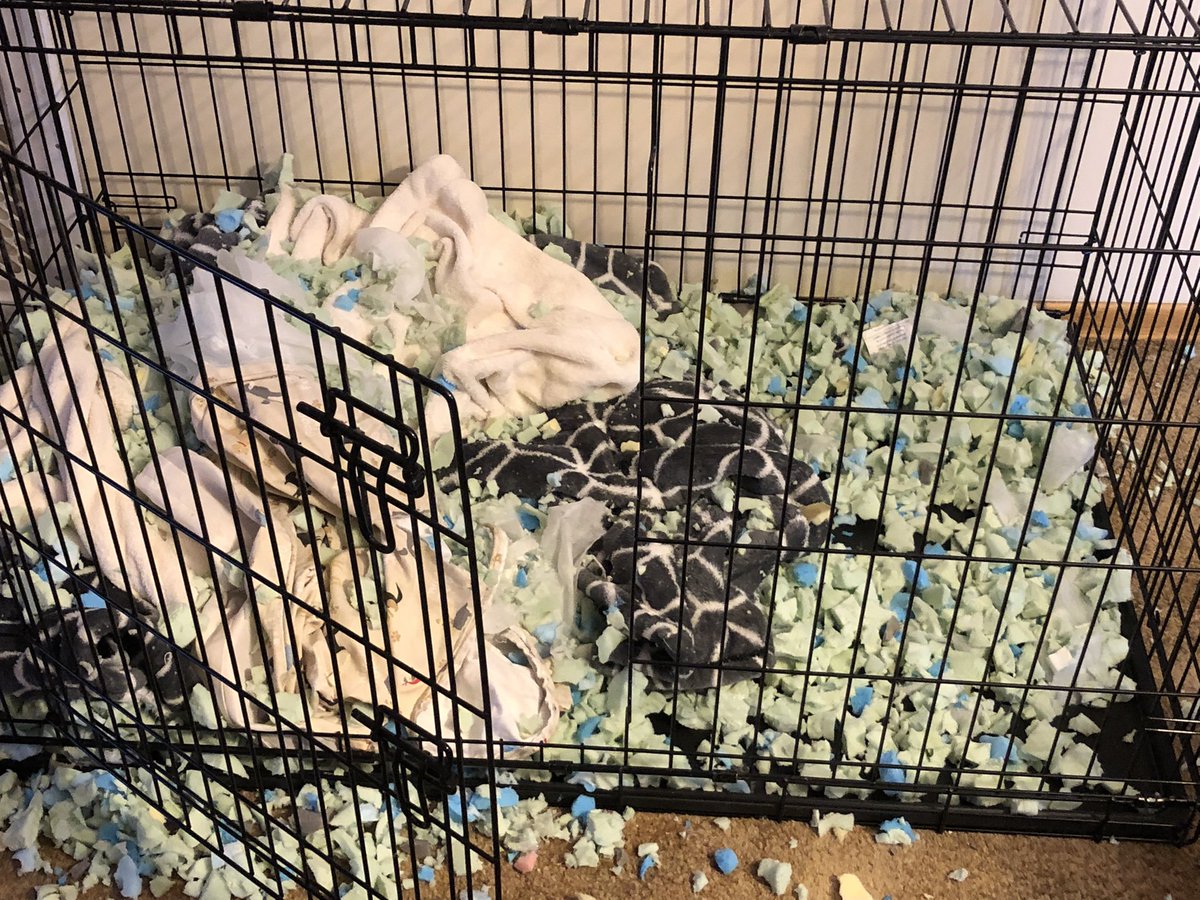 Today did not go as planned….OH GUS!!!