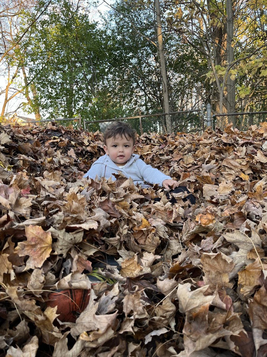 Happy birthday to Sir Frederick Banting.   Sir and Al Mann are my hero's! 

Happy diabetes day!

I still love my #afrezza 

Thanks to everyone helping diabetics worldwide 

#inalmannitrust