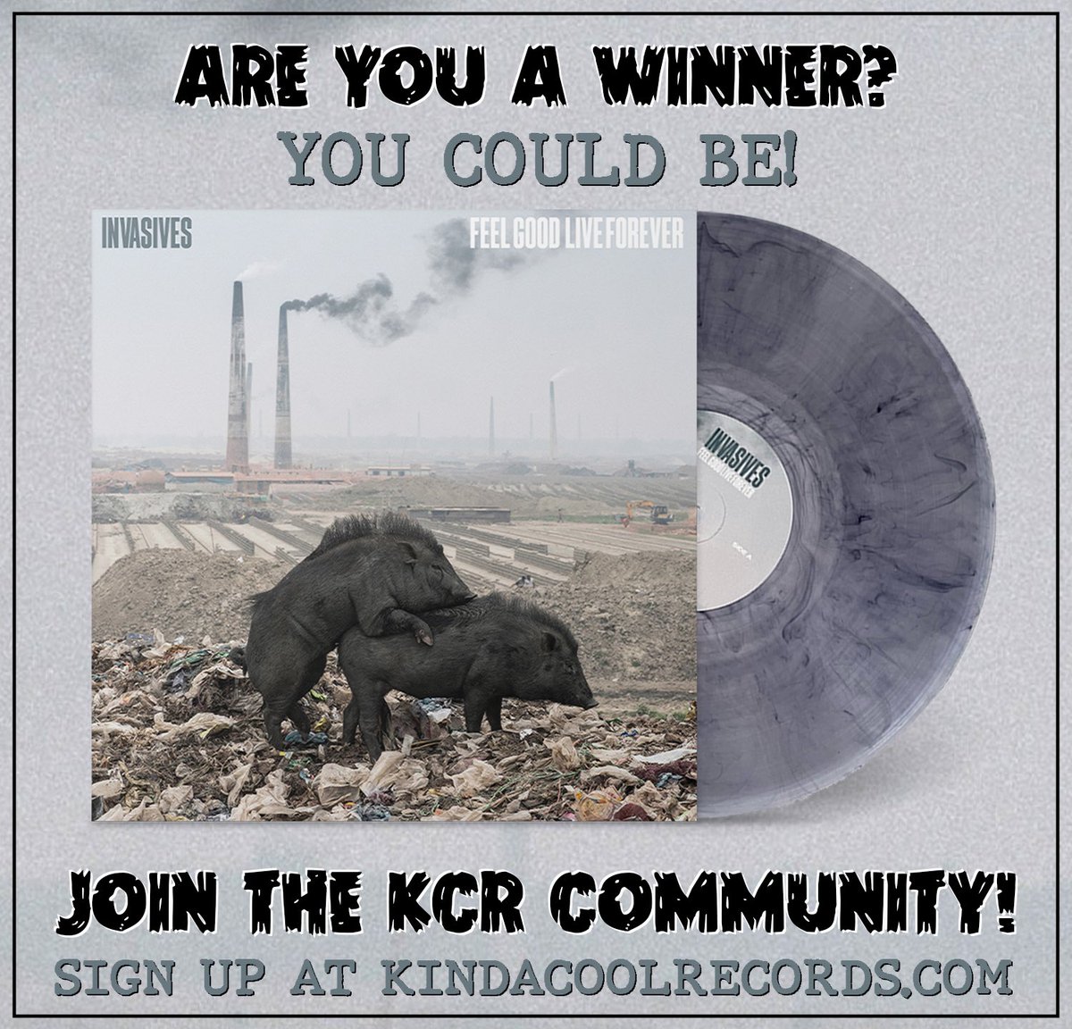 KindaCoolRecs's tweet photo. Sign up for the KCR Community and you could win a copy of Invasives ‘Feel Good Live Forever!’ 
What’s the KCRC? It’s our e-newsletter featuring updates on the bands, new releases, merch and giveaways just like this one! Woah! Let’s go! 
https://t.co/V62RLZsCA2 https://t.co/JHELS3WfeY