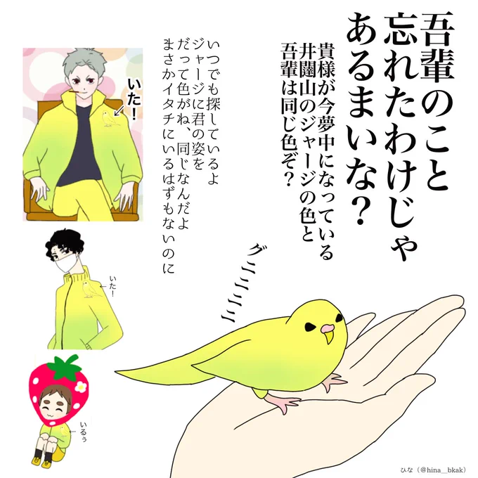 に夢中になって失念していましたが、本日は「いいインコの日」*Sなさんから「インコの日おめでとう!」というメッセージが来て気付きました。あ、ありがとう?わ、忘れてないよ!いつでも思っているよ*インコのコータローは葦君が飼っているインコという私の勝手な妄想の産物です。 