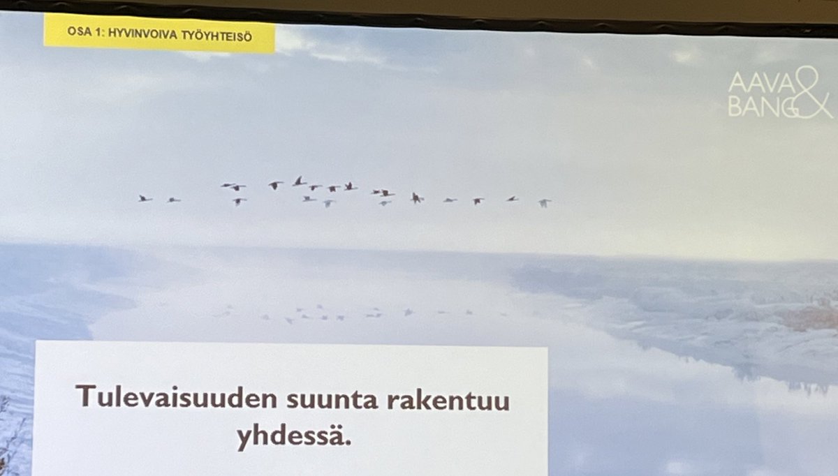 Viestinnän merkitys korostuu muutoksen hetkellä, niin muuttolintuparvessa kuin organisaatioissakin, kertoo <a href="/ViljaLaaksonen/">Vilja Laaksonen</a>. #sydänmukana #esihenkilöpäivätHDL #yhdessärohkein #viestintä