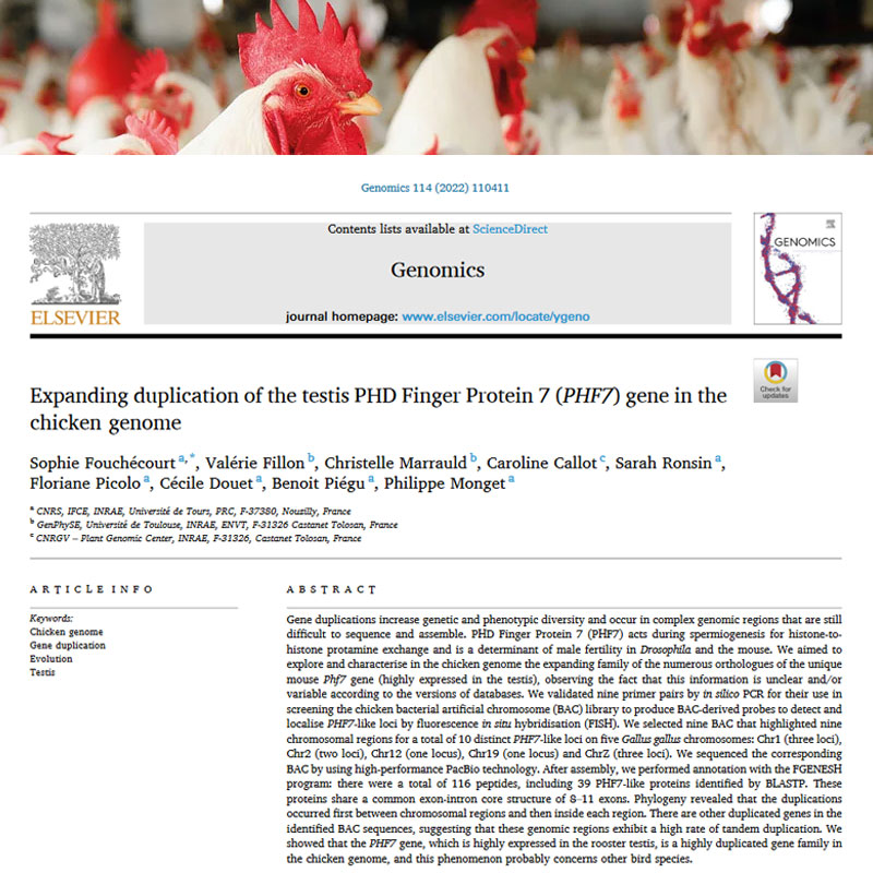 CNRGV's tweet photo. The BACs clones are still relevant🧬
Using a BAC clone remains a quick and cheap way to obtain high quality sequence of a hundred kb region of interest.
👉https://t.co/scBZV8TgRp
#Genphyse @UnivTours @caroline_callot https://t.co/FvoanboG4y