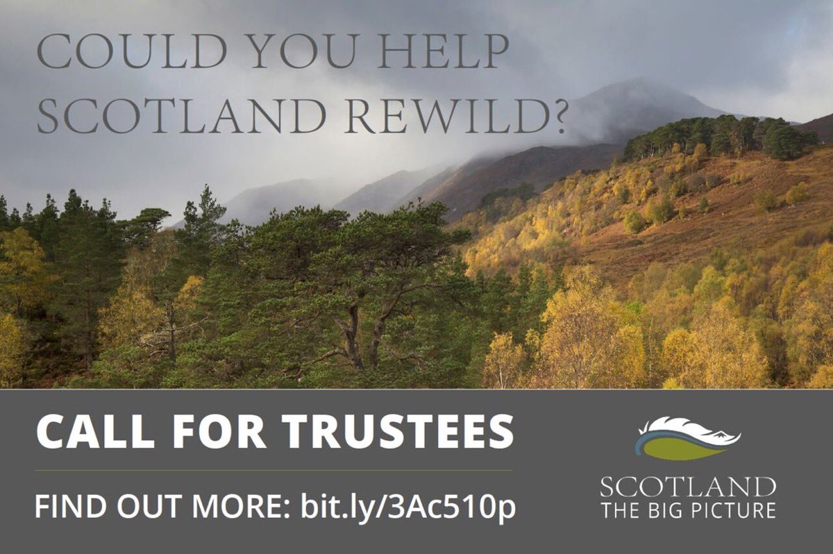 We are looking to strengthen the board of @ScotlandTBP If you would like to help drive the recovery of nature across Scotland through re-wilding, then please apply 👉 bit.ly/3X1YWNO