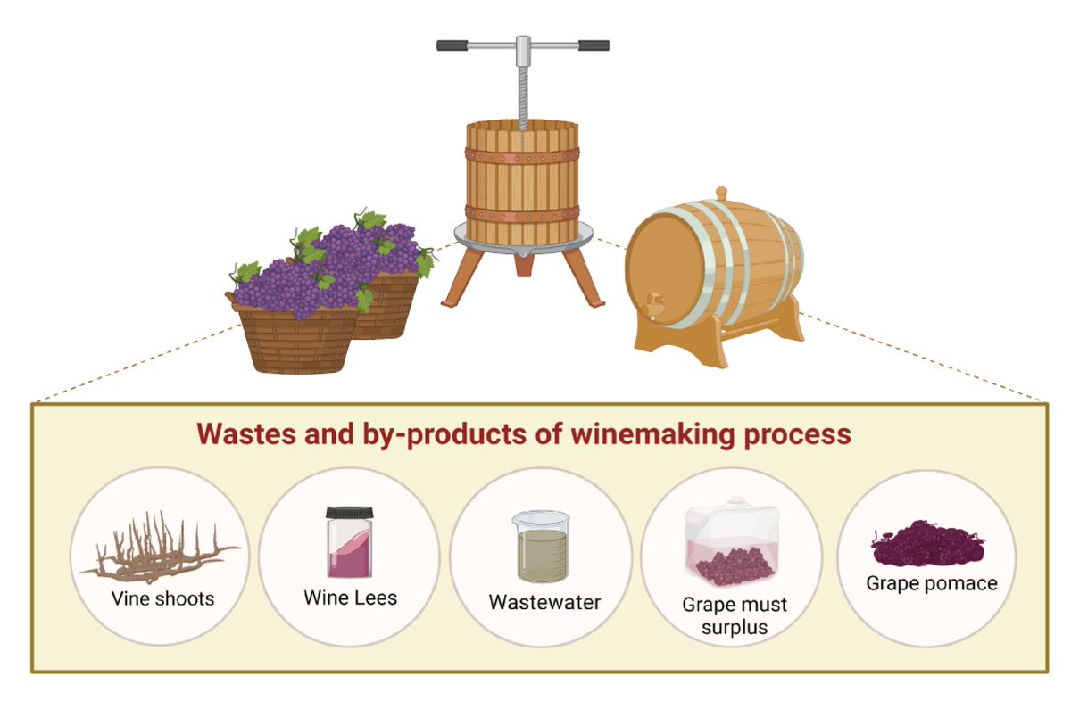 Proyecto Biovino tweet media