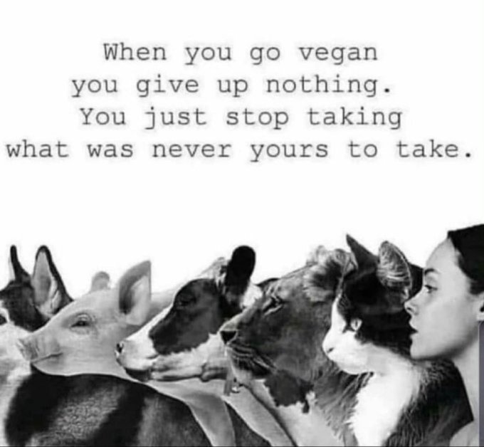 My eyes have been opened I've only just become a Vegan. Why did I do this? For the animals, it's heartbreaking so much of it 💔 I was literally in tears and I just feel so bad that I'm only just realising this now 💔 I've been living in ignorance #veganfortheanimals #goVegan
