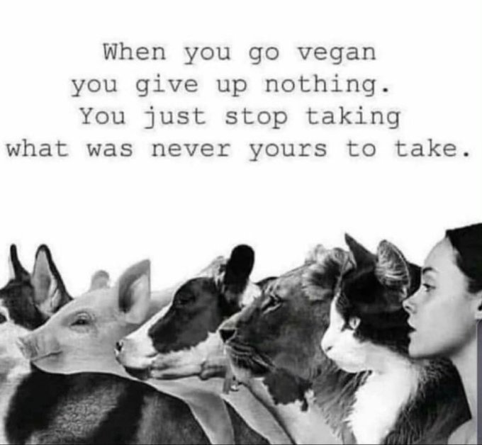 cityzen147's tweet image. My eyes have been opened I've only just become a Vegan. Why did I do this? For the animals, it's heartbreaking so much of it 💔 I was literally in tears and I just feel so bad that I'm only just realising this now 💔 I've been living in ignorance #veganfortheanimals #goVegan