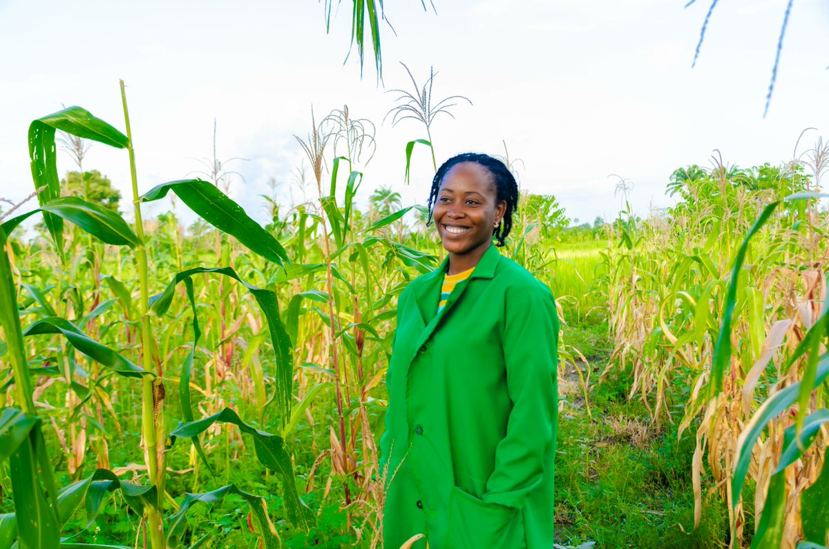 SciforAfrica's tweet photo. Record-high #foodprices have triggered a global crisis that will drive millions more into extreme poverty. We are looking to fund innovative approaches to enhance #climateadaptation for agriculture in Africa. Interested? See application details here 🔗 https://t.co/zYHlpTZMSz https://t.co/wNb6Sv1Ncg