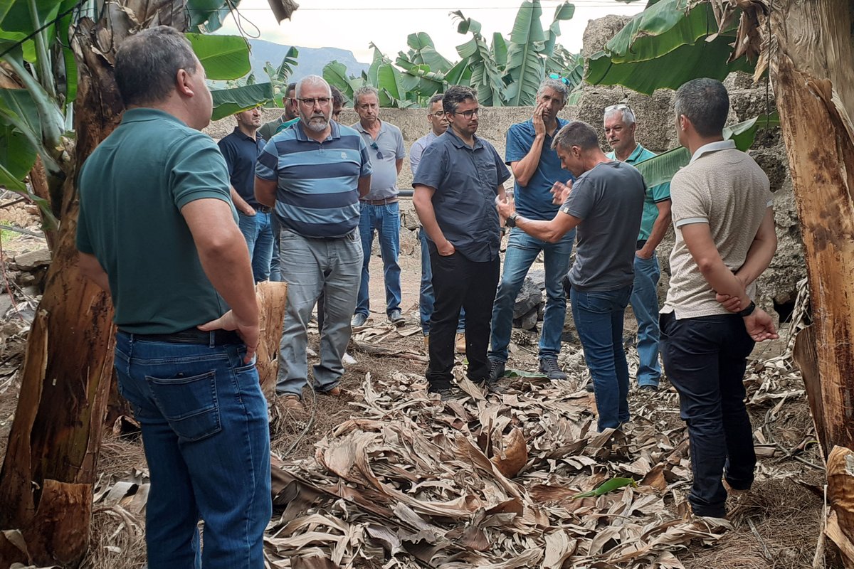 StollerEurope's tweet photo. 🍌🌴Field Day in #Tenerife for #banana growers from La Palma, where they visited different plantations that use Stoller Formulation Technology with the aim of sharing their experience and results in the different managements of the crop.
@platanosiempre #StollerSolutions https://t.co/T2j9LVLEA0