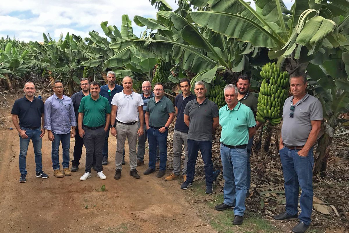 StollerEurope's tweet photo. 🍌🌴Field Day in #Tenerife for #banana growers from La Palma, where they visited different plantations that use Stoller Formulation Technology with the aim of sharing their experience and results in the different managements of the crop.
@platanosiempre #StollerSolutions https://t.co/T2j9LVLEA0