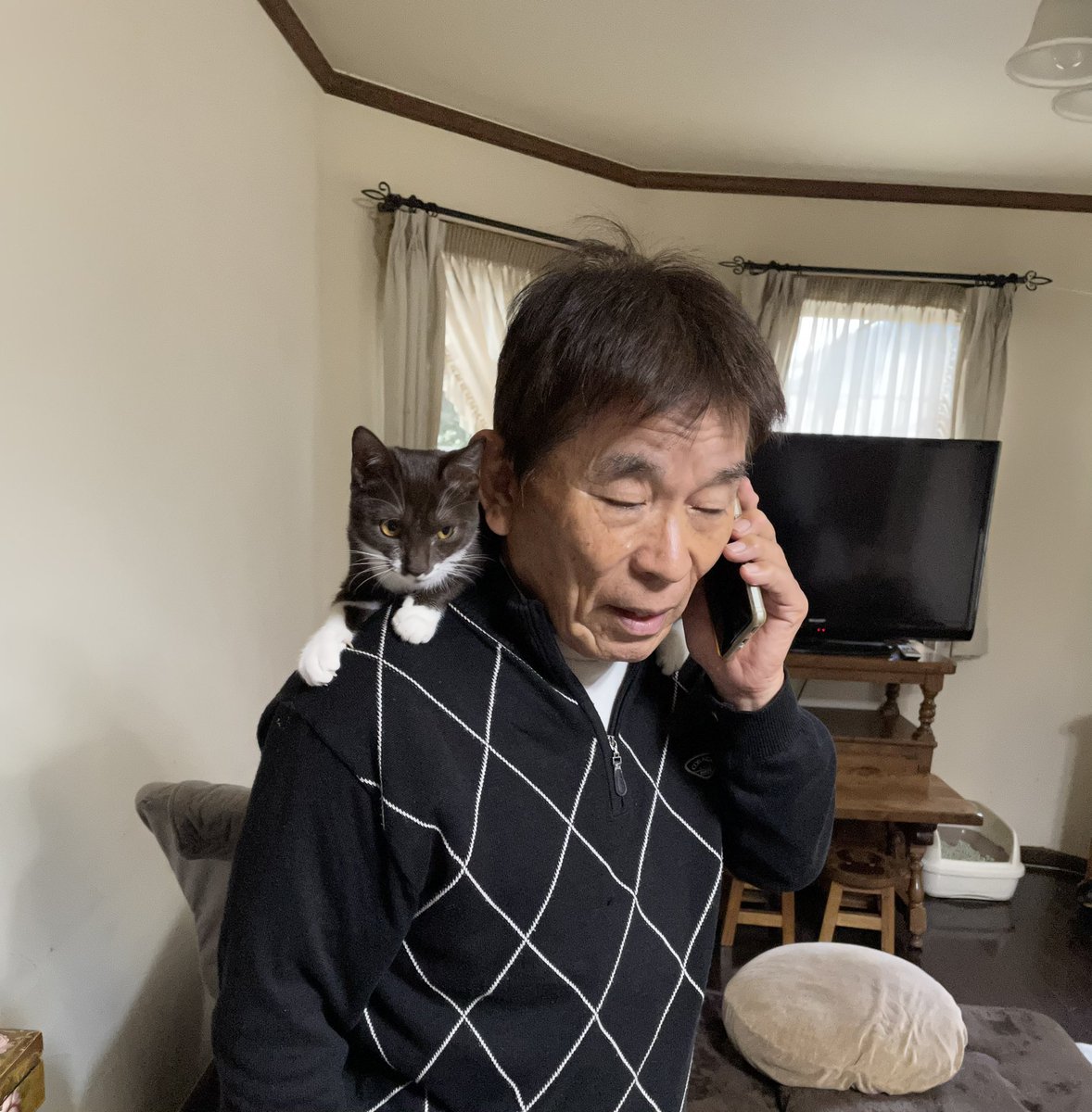 まるでポケモンの世界😸
おじいちゃん💦肩に乗ってるジジの事‥気づいてないのかなぁかなぁ⁉️
＃保護猫と暮らす 
＃猫好きさんと繋がりたい 
＃保護猫 
＃猫のいる暮らし 
＃クラウドファンディング 

readyfor.jp/projects/marumo