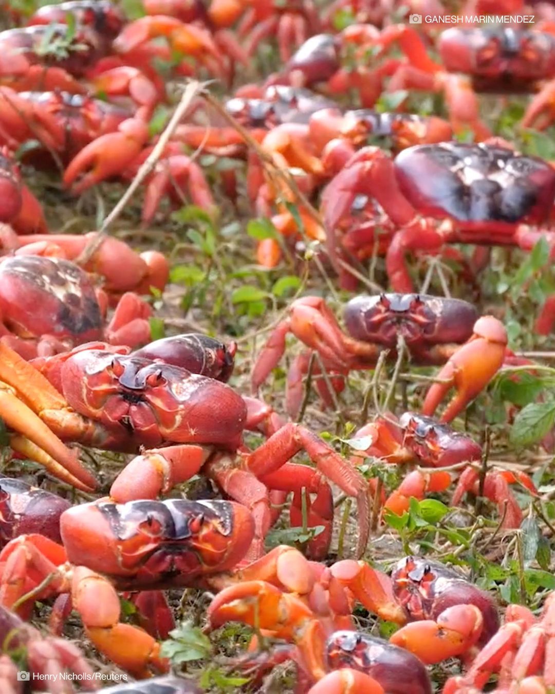Christmas island belong to singapore