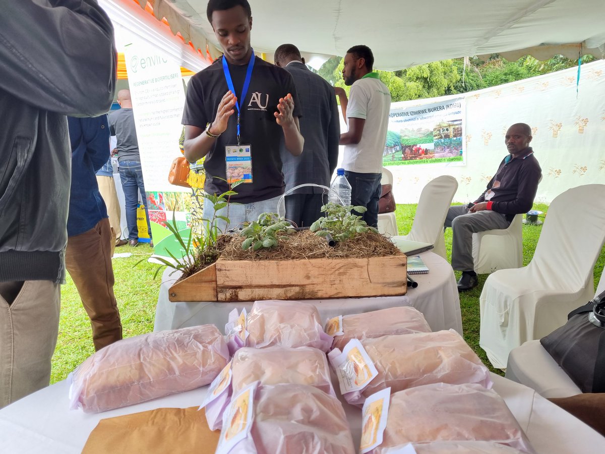 AgriterraRwanda's tweet photo. Different exhibitors engaged in potato value chain are showcasing their products and services before the official launch of #potatoweek 2022. https://t.co/ibYguG3asg