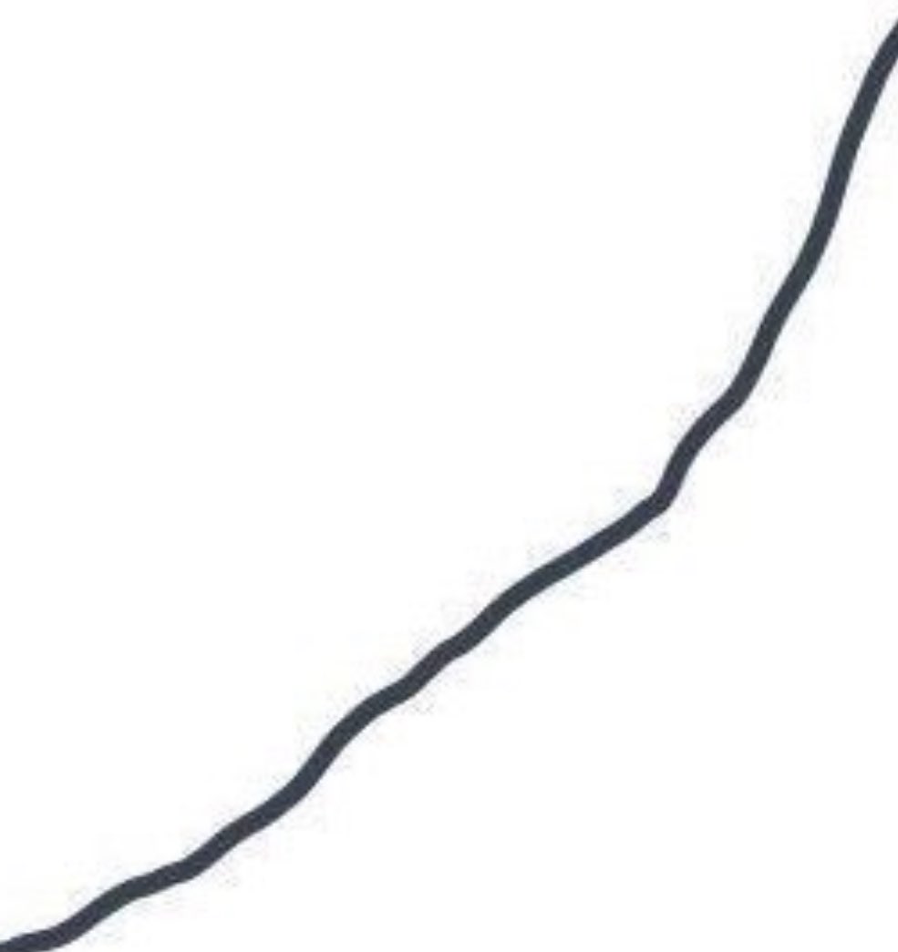 Mikkel Bo tweet media