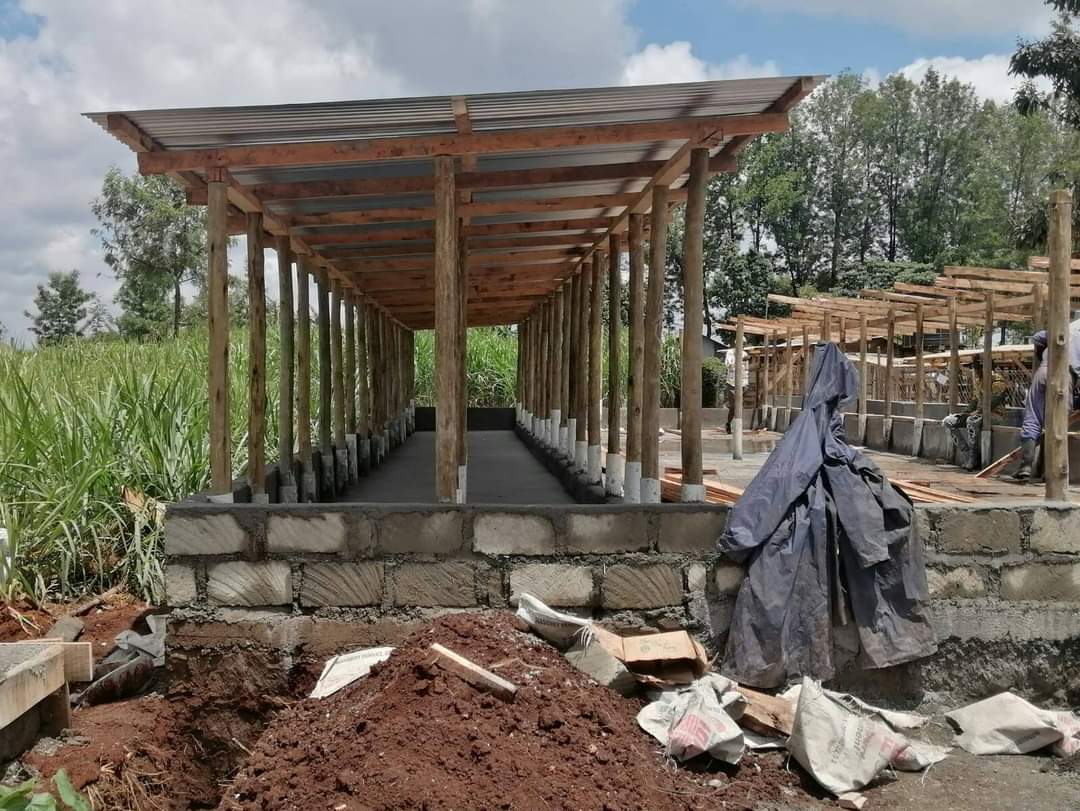 NgaruyeFarm's tweet photo. Dairy farm project🐄. We do structures at affordable prices. https://t.co/y9QYBeo96T