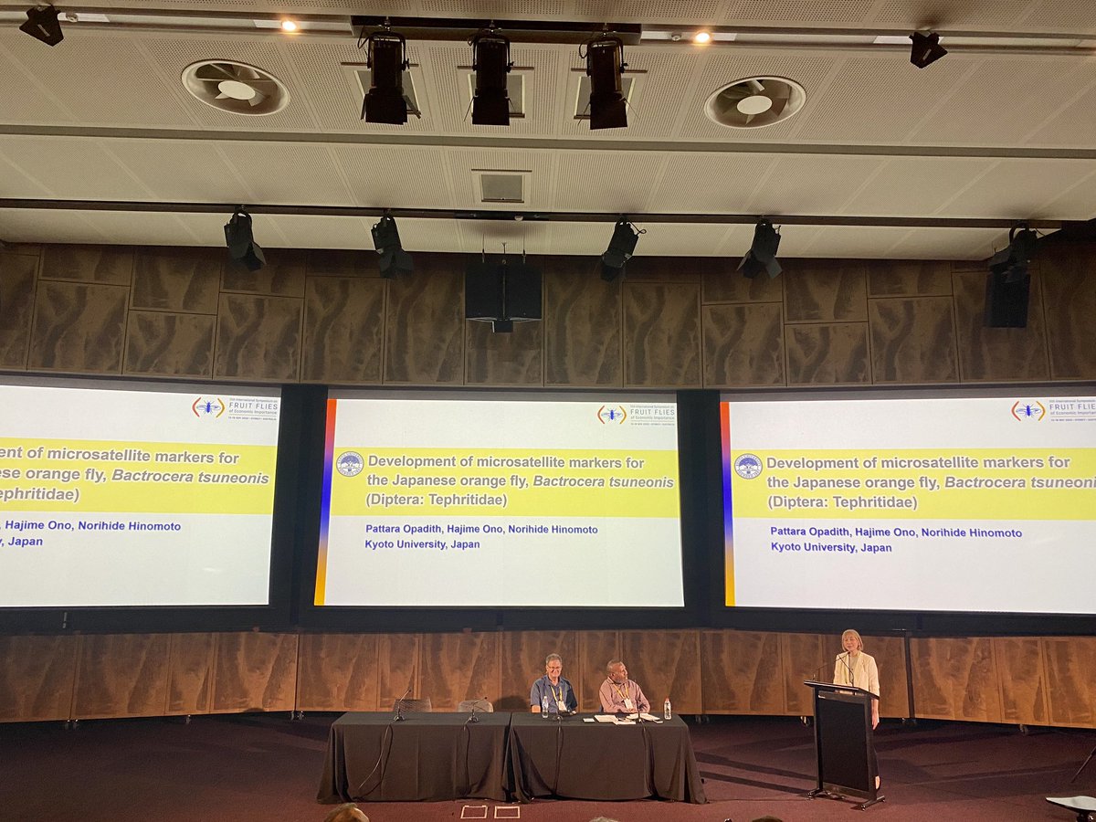 AlvinHee_MY's tweet photo. #11ISFFEI @ice2024kyoto Pattara Opadith, graduate student of a good colleague of mine, Hajime Ono (Grad Sch Agriculture) @KyotoU_News presenting her talk and promoting ICE2024 Kyoto! Thanks Pattara! Kyoto  August 25-30, 2024 https://t.co/C4nOAjcxHI https://t.co/S4nqpU5TDV