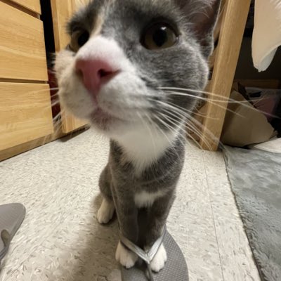 _celestazzz's tweet image. #NewProfilePic