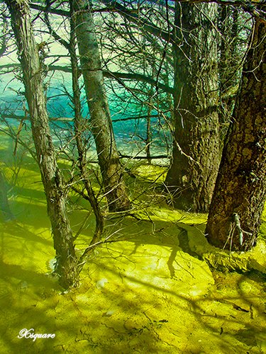 _xsquare's tweet photo. #nature #naturelover #NatureBeauty https://t.co/SAFjCpar0g
