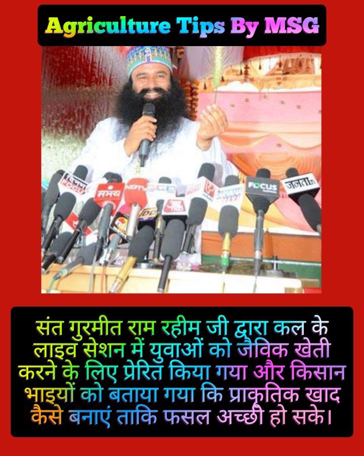 Raman60322743's tweet photo. Saint Gurmeet Ram Rahim Ji inspired the youth to do organic farming through YouTube Live yesterday and gave tips to the farmers for less water crop,seed &amp; soil testing and increasing the production of crops.
#AgricultureTipsByMSG https://t.co/ZOgTM8JMf5