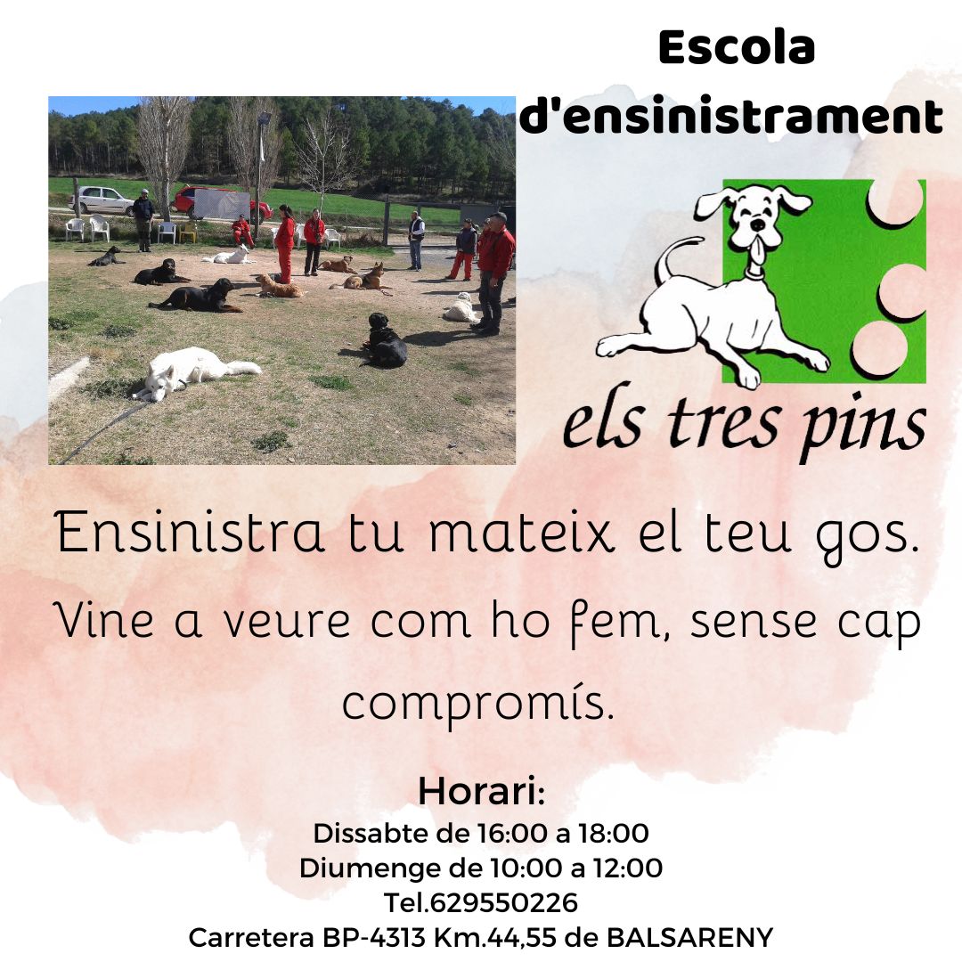 elstrespins (@elstrespins) on Twitter photo 