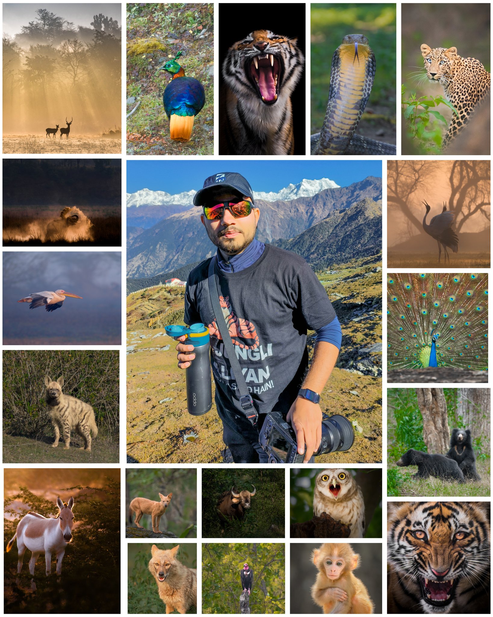 trikansh-sharma-on-twitter-me-my-work-of-wildlife-photography
