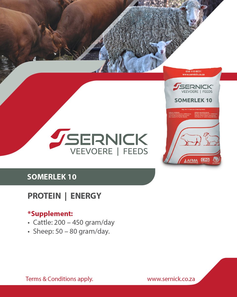 Selected Sernick Feeds Summer Lick products are currently on promotion - don't miss out - contact your Technical Advisor here: bit.ly/3SOc9Xu