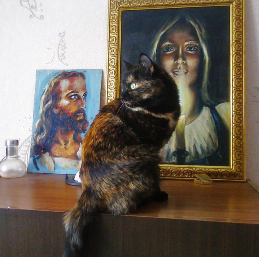 _DashCat's tweet image. Have a nice day my dears, may all your plans work out, I love you💞🤗🌄