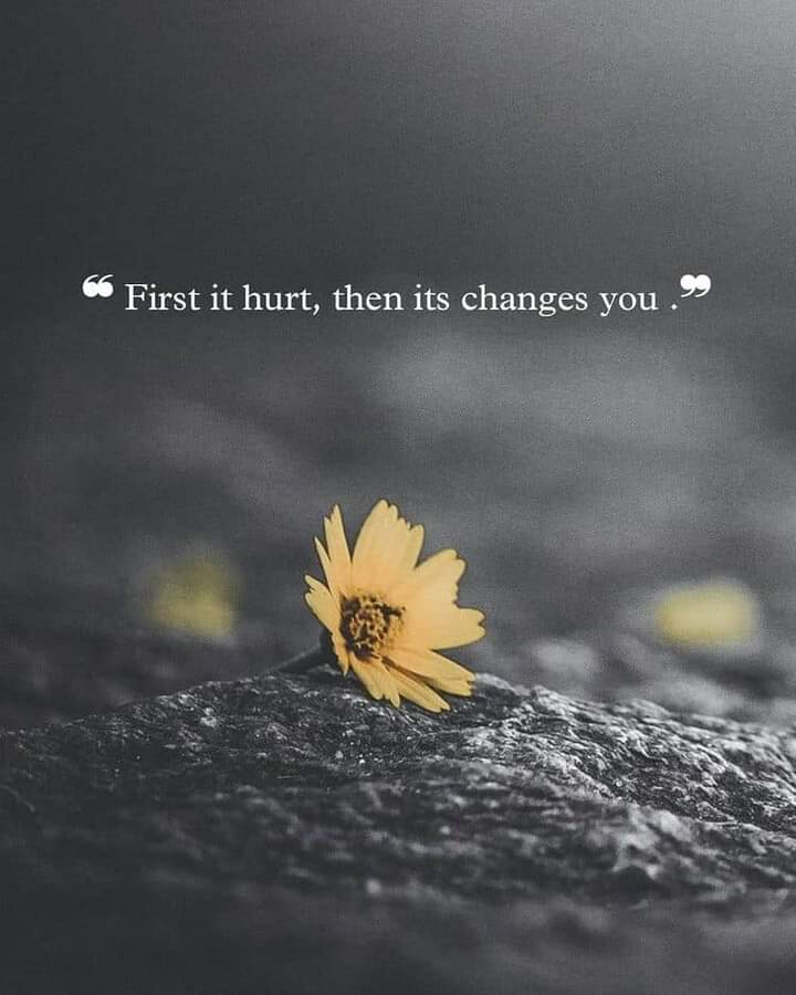 deannbyang's tweet photo. I am thankful for the past, and now I am grateful for what I am. Thank you for letting me feel loved. https://t.co/Qk4kWsiC8P