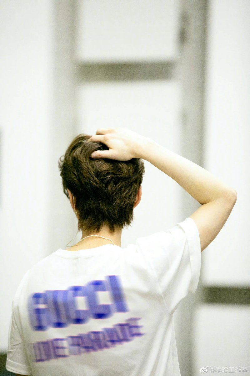 LuHan International tweet media