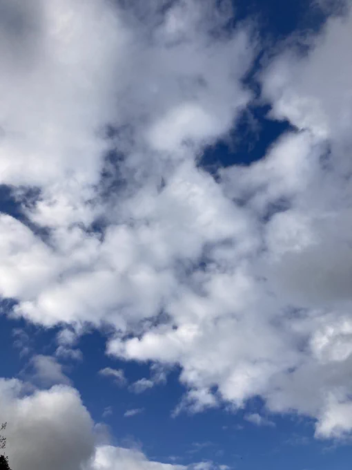 雲がふわふわなのだ 
