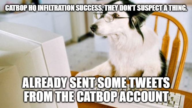 Dogbop tweet media