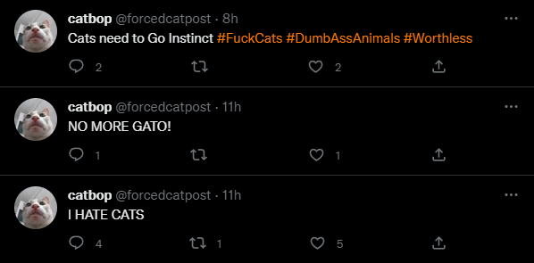 Dogbop tweet media