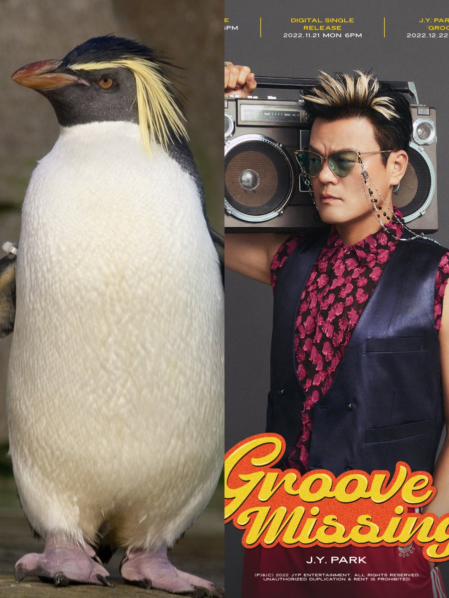 Woopmdeka Woopmdeka Twitter