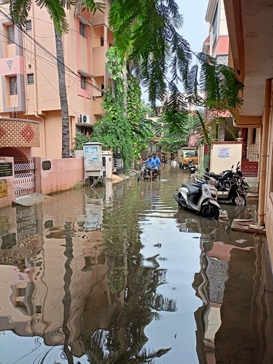 UchilYogita's tweet photo. @chennaicorp water logging at aynavaram, Muthuman Nagar near Gopi Krishna Theatre people are not able to get out of their houses. https://t.co/cFkehvFpff