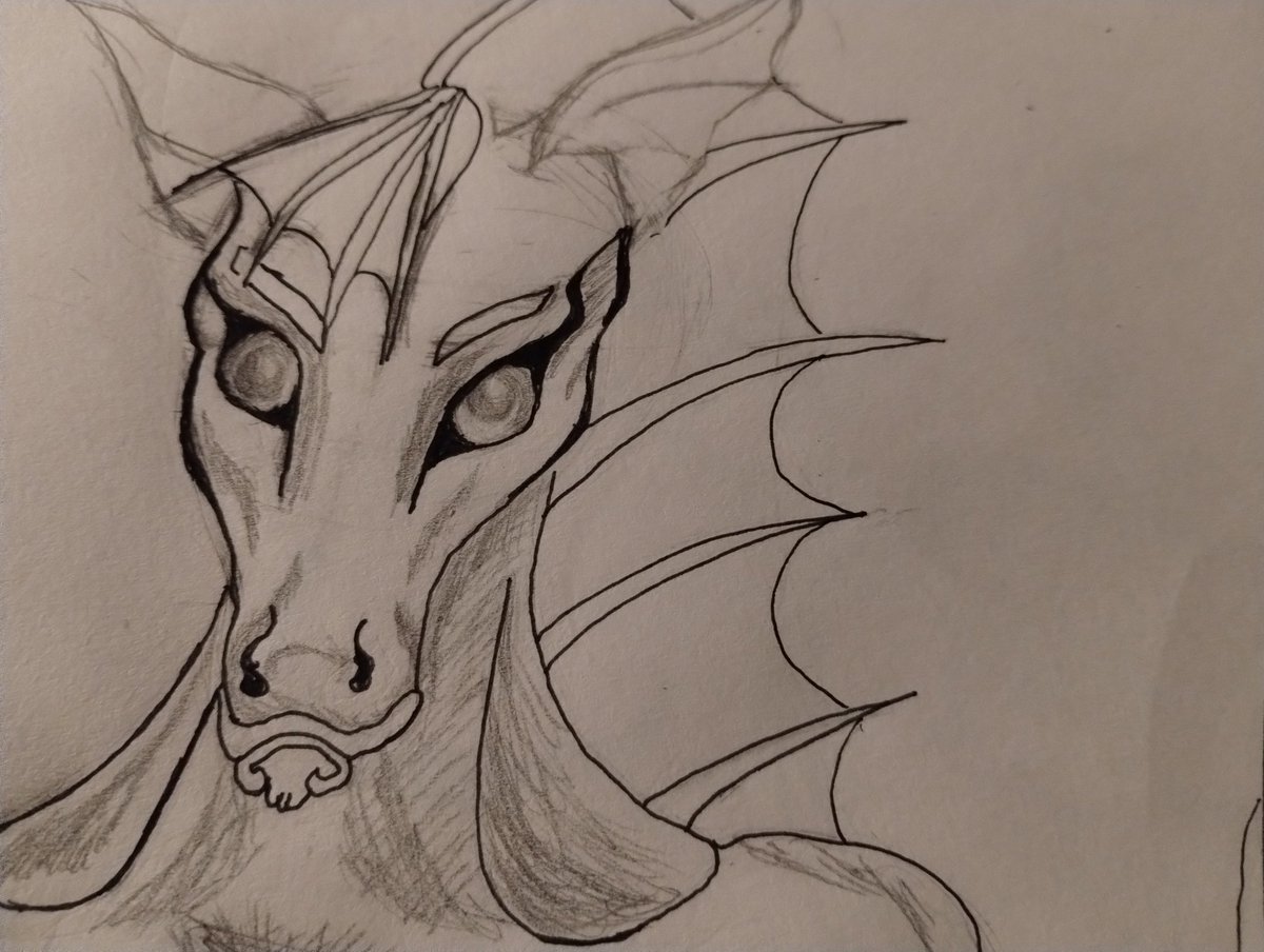 ShlickW's tweet photo. *W.I.P* got the crazy look going on #wip #crazy #Pencildrawing https://t.co/SBNwLu6HFs