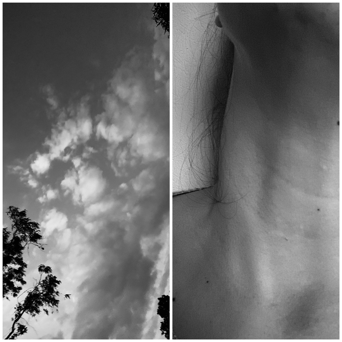 DenisseParraR's tweet photo. #MySkyN
#My2022InPhotos https://t.co/cICCXjEOfk