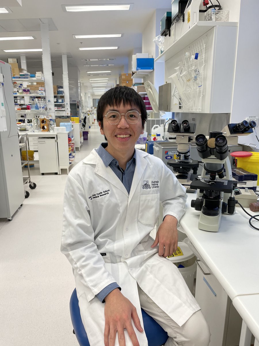 SiMingMan1's tweet photo. Today, we welcome Thomas La, a second year ANU Medical Student, to our lab. Tom has been awarded an @ACTHealth Vacation Scholarship and will spend 6 weeks with us working on immune inhibitors. Welcome Tom! 😊
#ACTHealth
#medicalresearch
#ANU
#JCSMR https://t.co/utNJnFkGBV