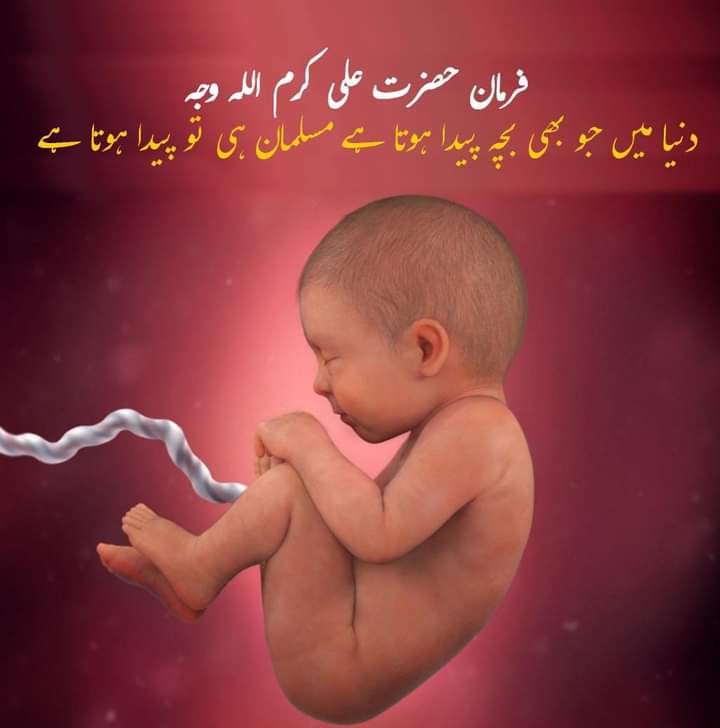 Muhamma96994672's tweet photo. @VaticanNews دنیا میں جو بھی بچہ پیدا ہوتا ہے مسلمان ہی تو پیدا ہوتا ہے 
تمام بنی نوانسان چار حروف اسم محمدکامجموعہ ہیں 
کرہ ارض پر تمام مسلمان بس رہے ہیں یہی ازلی سچائی ہے 
اگرکوئی غیر مسلم اور قدیم کہلاتاہے تو دکھائے
نوٹ۔ سنی سنائی کاغذی ہوائی گفتگواور واقعات سے پرہیزفرمائیں دیکھی بات کریں https://t.co/UjVbxP0pu8