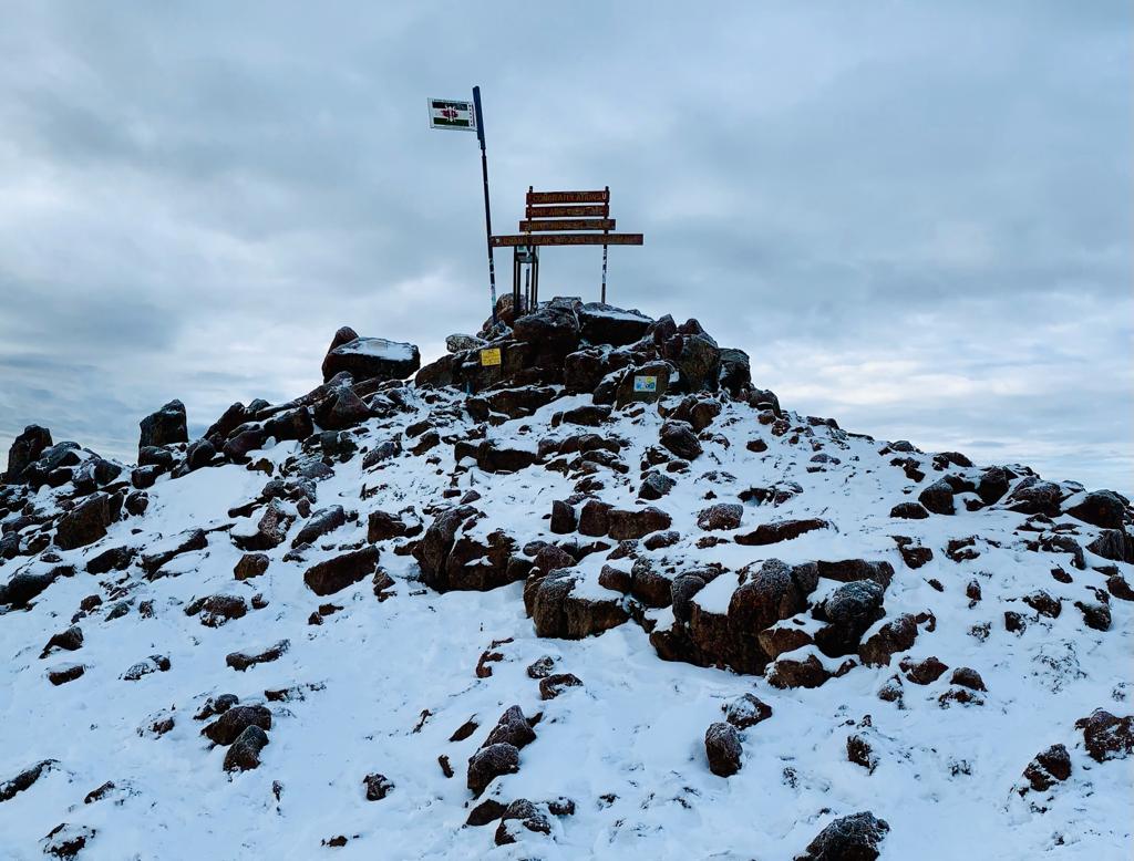 Mamba Expeditions tweet media