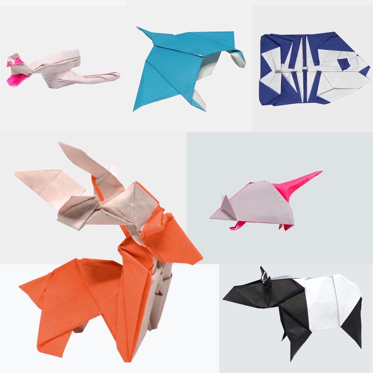 haditahir's tweet photo. Origami Animals
https://t.co/98OZREX7QU
#origami #origamibook #Amazon https://t.co/Oi0Q4J28yR