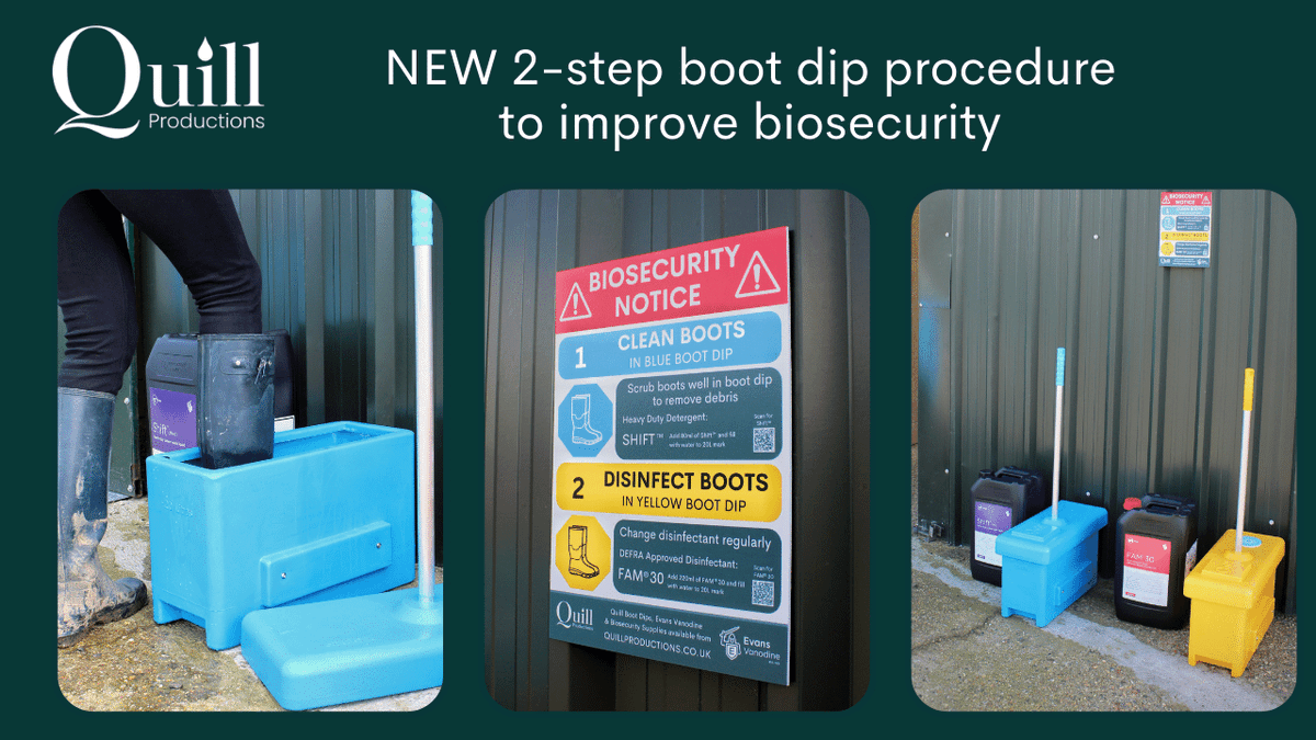 QuillProd's tweet image. Did you know we have a YouTube channel? 

Watch our latest video of our 2-step boot dip procedure here: youtube.com/watch?v=z2mKdG…

#avianflu #avianinfluenza #birdflu #bootdip #footdip #quillbootdip #quillproductions #evansvanodine #biosecurity