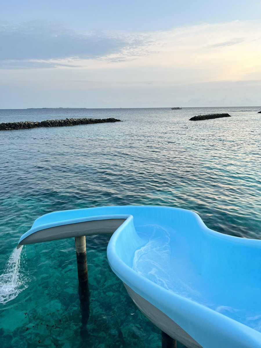 Anna Gordon tweet media