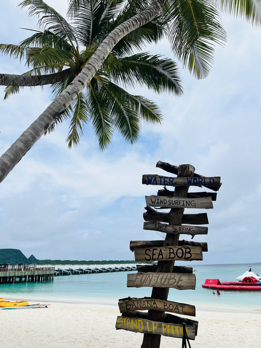 Anna Gordon tweet media