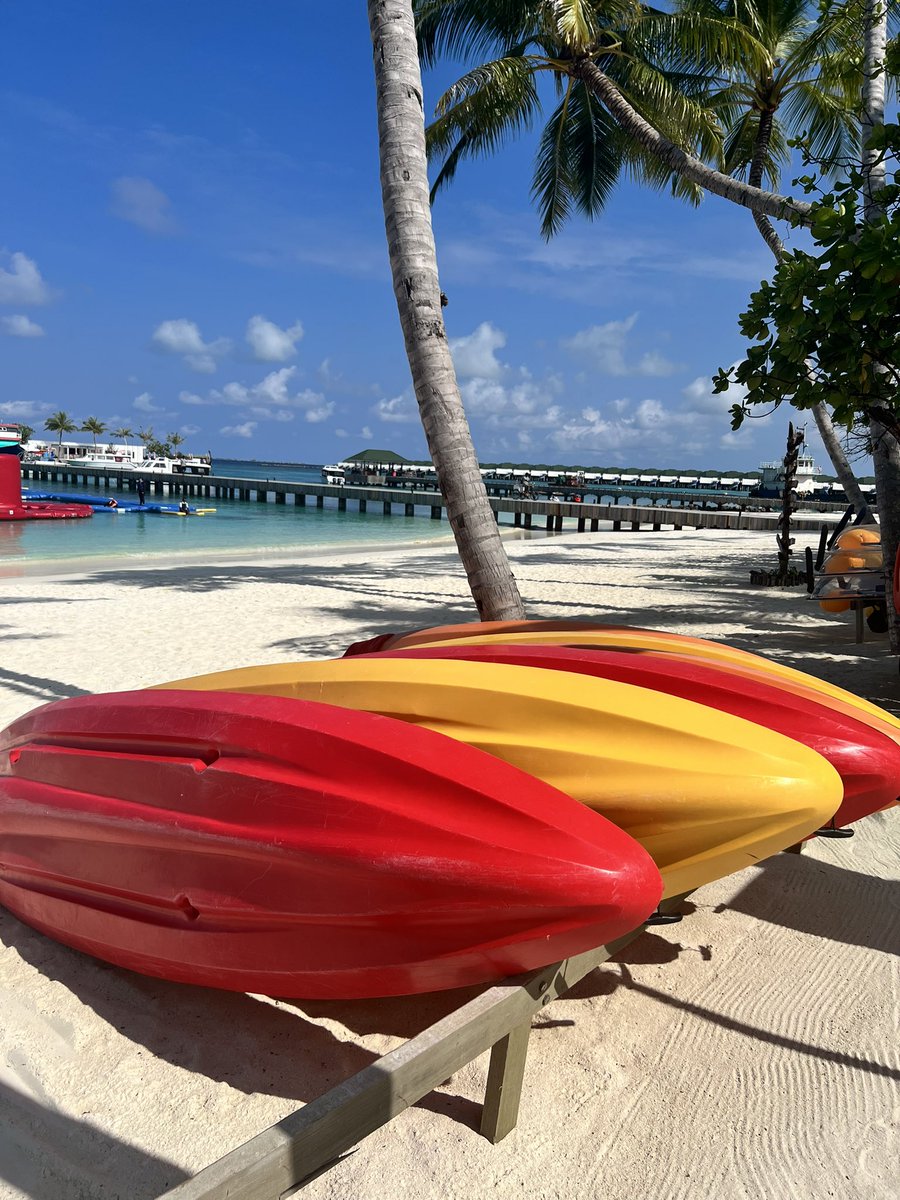 Anna Gordon tweet media