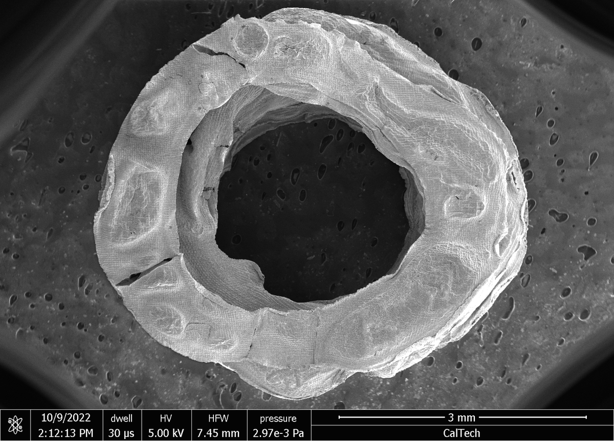 SJVelling's tweet photo. Excited to have some work @AkashSDhawan & I have been doing re: printing of functional mechanical elements (springs) using #HIAM submitted to @ASMEdotorg #2023Aerospace Structures and Materials Conference #SSDM2023! https://t.co/Sg2ZuQCZiM