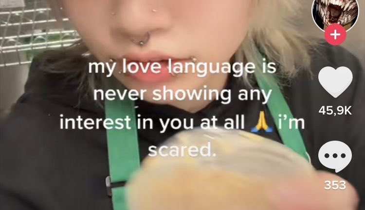 earth and air sign placements :