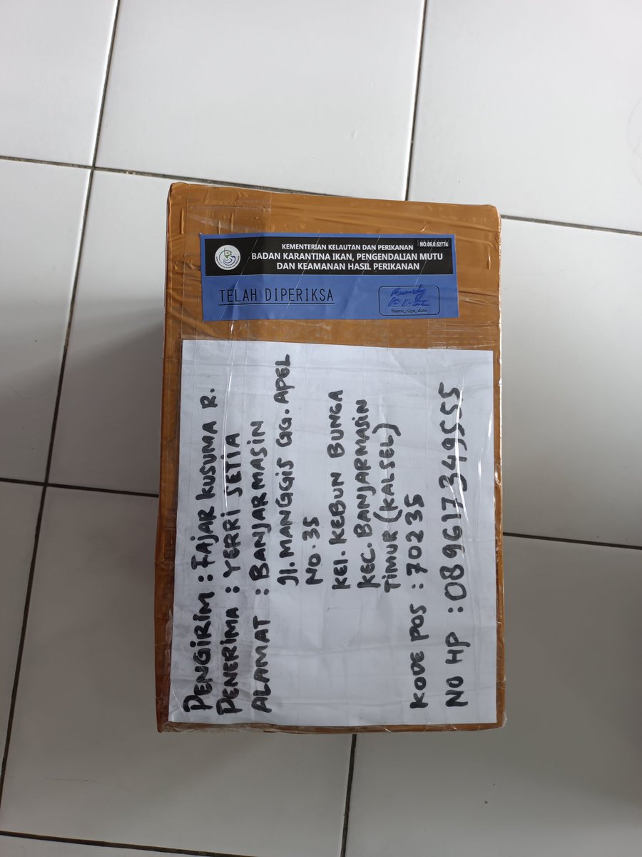 BKIPMBontang's tweet photo. Pengiriman komoditi ikan cupang tujuan Kalimantan Selatan
@BuTariPmk
@BKIPMBalikpapan 
@ekosulys24 https://t.co/JCcpAYpqq6